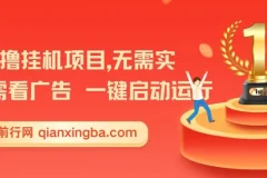 首码0撸挂G项目，无需实名无需看广告 一键启动运行，小白轻松日入三位数【揭秘】