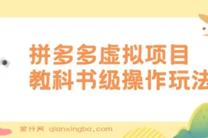 拼多多店铺虚拟项目，教科书式操作玩法，轻松月入1000+