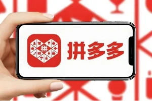 PDD打爆班原创高阶技术第43期