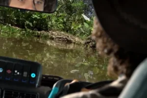 安迪海底冒险全15集 1080P超清儿童海洋探险动画