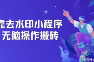 去水印小程序+拼多多无脑搬砖 ， 保姆级教程 可放大批量操作