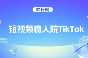 短视频疯人院TikTok