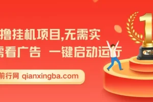 首码0撸挂G项目，无需实名无需看广告 一键启动运行，小白轻松日入三位数【揭秘】