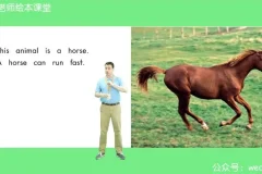 海尼曼Heinemann英语分级读物全套课程