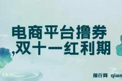 电商平台撸券，双十一红利期，新手也能单号日入300+