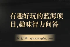 趣味智力问答，有趣好玩的蓝海项目，收益稳定，虽然客单价低，但出单量大