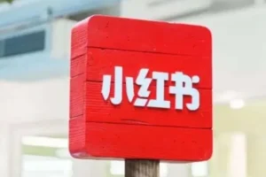 小红书电商课程，玩转小红书笔记带货