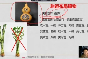 林涵予奇门遁甲风水实战7讲：财运事业姻缘布局