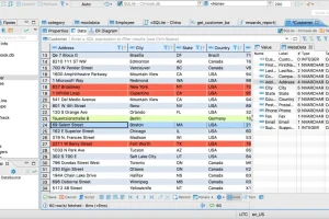 数据库管理 DBeaver Community Edition v24.1.1 中文版