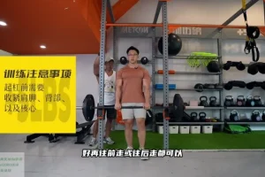 小萝卜四分化高阶健身课程：全年增肌周期训练指南