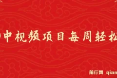 VIVO中视频项目,最新技术助力！每周轻松赚1w+，AI去重大揭秘！