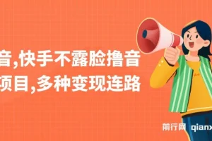 抖音，快手不露脸撸音浪项目，多种变现连路