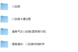 《八段锦》全网收集 详细解说 最全整理视频教程