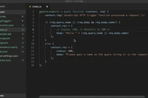 微软代码编辑器 Visual Studio Code v1.90.1 官方版