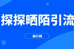 探探陌陌日引200粉，小白新手可做，当天就能变现300+