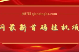 全网最新首码挂机，带有管道收益，轻松日入1000+无上限