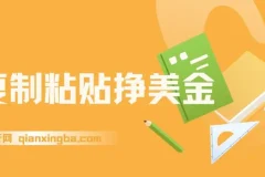 复制粘贴挣美金，0门槛，1天收入95美刀，3分钟学会，内部教程(首次公开)