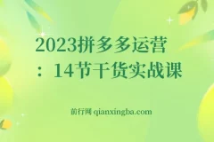 2023拼多多运营：14节干货实战课