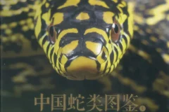 《中国蛇类图鉴》上下册 中国野生蛇类245种