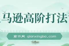 亚马逊高阶打法课，亚马逊暴力打法（14节视频课）