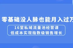 16堂私域流量池经营课：低成本实现指数级销售增长，零基础没人脉也能月入过万