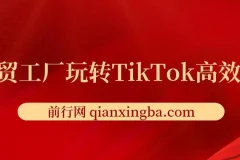 外贸工厂玩转TikTok高效获客，多种引流方式/账号定位/爆款打造/全方位讲解