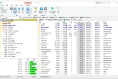 磁盘分析工具 | TreeSize Pro v9.1.5.1885 纯净安装版