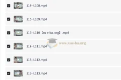 琦哥 314记忆法记单词