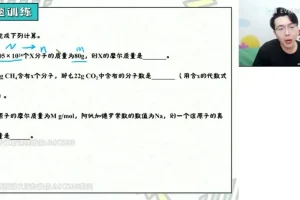 2024高一化学必修一系统课：陈鲁丹精讲实验/离子/氧化还原