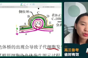 2024高三毛慧生物冲刺班-必修选修考点精讲+全设备观看指南