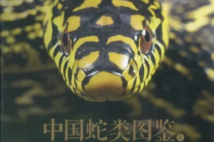 《中国蛇类图鉴》上下册 中国野生蛇类245种