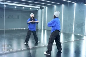 零基础HIPHOP舞蹈教程：122节大陈系统课