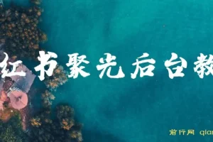 小红书聚光后台教学，小红书聚光投放的基本原理、策略和实践操作