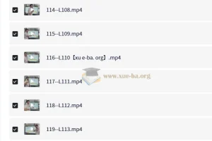 琦哥 314记忆法记单词