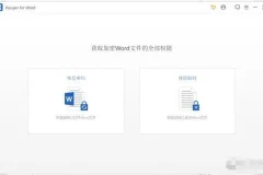 Passper密码恢复和解锁工具【可解excel+word+rar+zip+ppt】