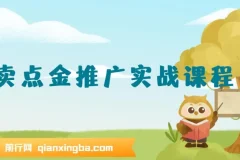 外卖 点金推广实战课程，2024外卖 点金推广全流程（7节课+资料）