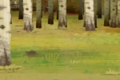 土豆逗野外生存指南：10大绝境自救技巧