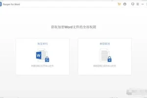 Passper密码恢复和解锁工具【可解excel+word+rar+zip+ppt】