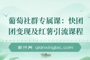 【精】快团团变现+小红书引流：解决没流量、难变现、缺帮卖三大痛点 实现月入3w+