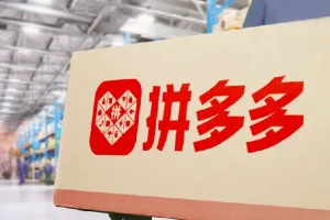 拼多多实操陪跑特训营弟子班2025年2月(价值4999元)