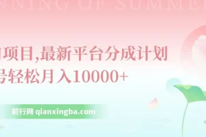 最新平台分成计划，风口项目，单号月入10000+