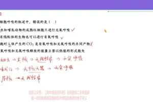 2024高三生物张元振全年班：遗传/细胞/生态专题精讲