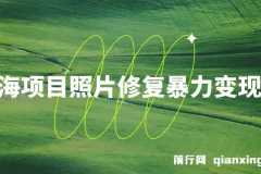 蓝海照片修复暴力项目 无门槛小白可做 轻松日入500+