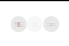 2024高二生物必修课：陈旭晨精讲基因工程与发酵技术