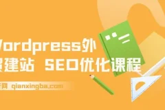 【精】WordPress外贸建站+SEO优化课程，手把手教你从0到1搭建可获得询盘的外贸网站