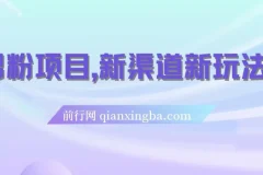 男粉项目，一个作品变现1000+，新渠道新玩法，一部手机实现月入过万