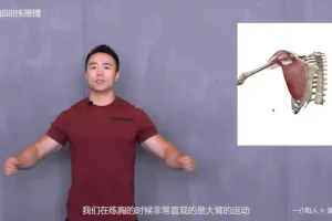 一介粗人x麦大湿：胸部训练入门到精通