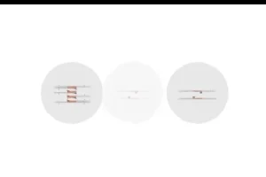 2024高二生物必修课：陈旭晨精讲基因工程与发酵技术