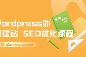 【精】WordPress外贸建站+SEO优化课程，手把手教你从0到1搭建可获得询盘的外贸网站