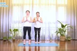 杨淇五行经络瑜伽：能量流养生7课